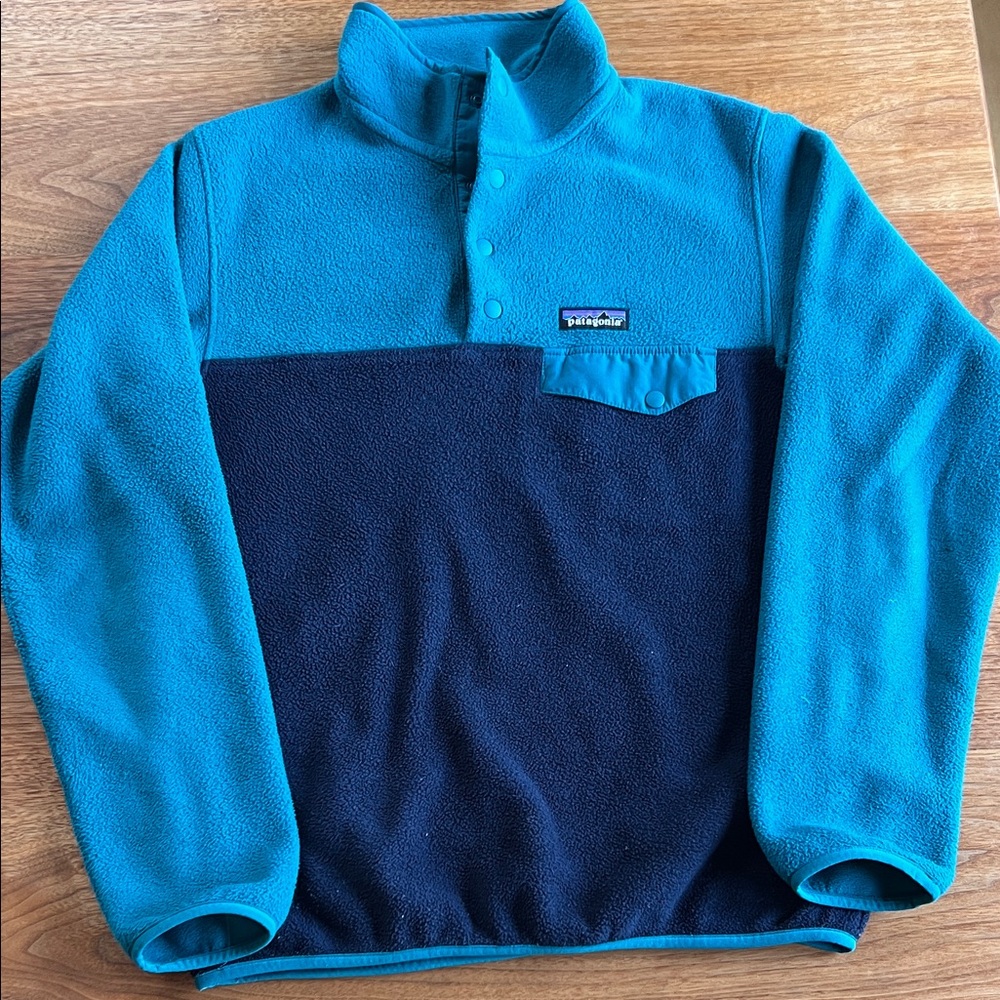 Patagonia Teal and Navy Fleece Jacket
